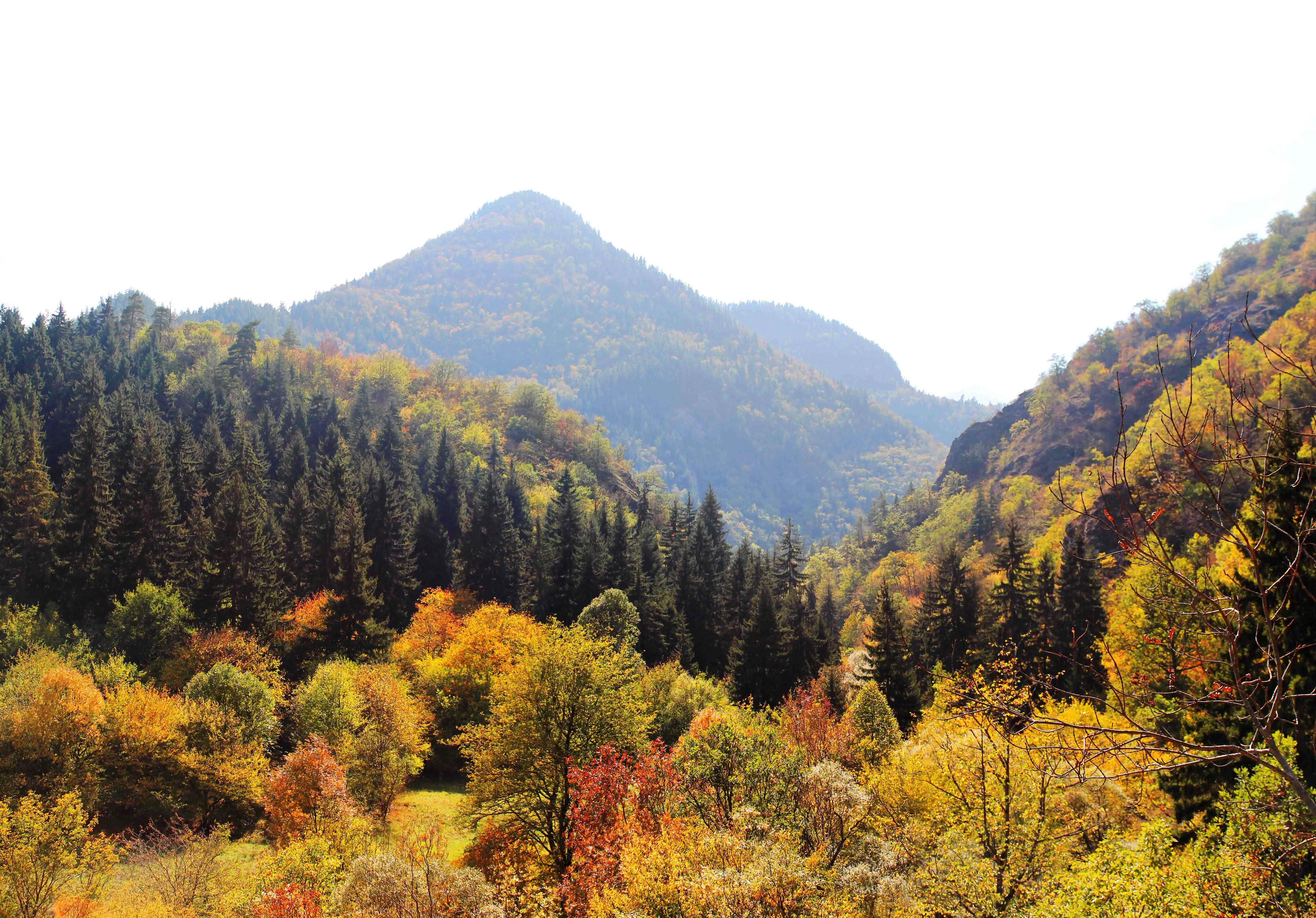 featured place image